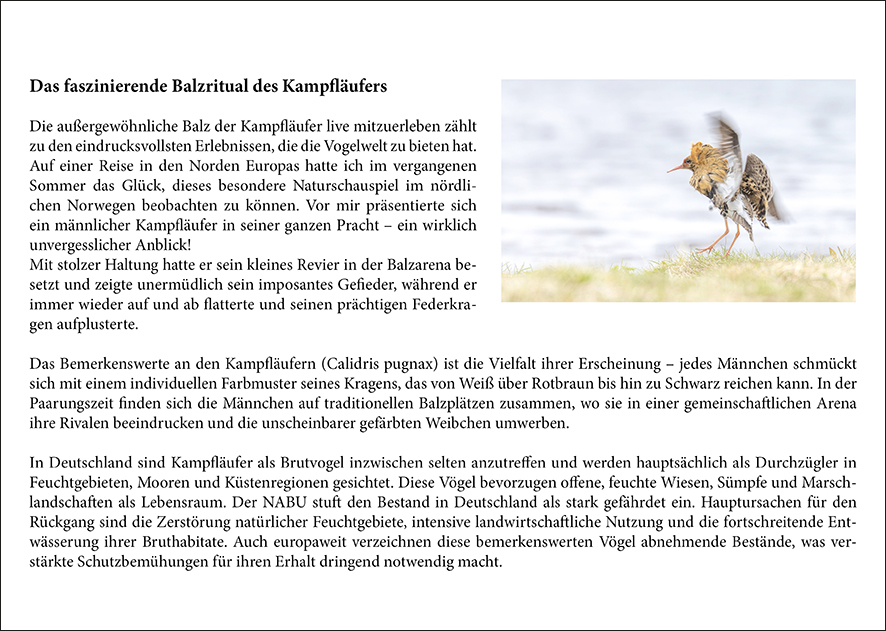 Rückseite Vögel_Mai