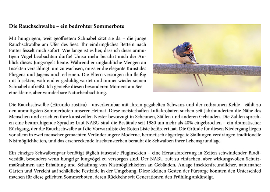 Rückseite Vögel_Juli