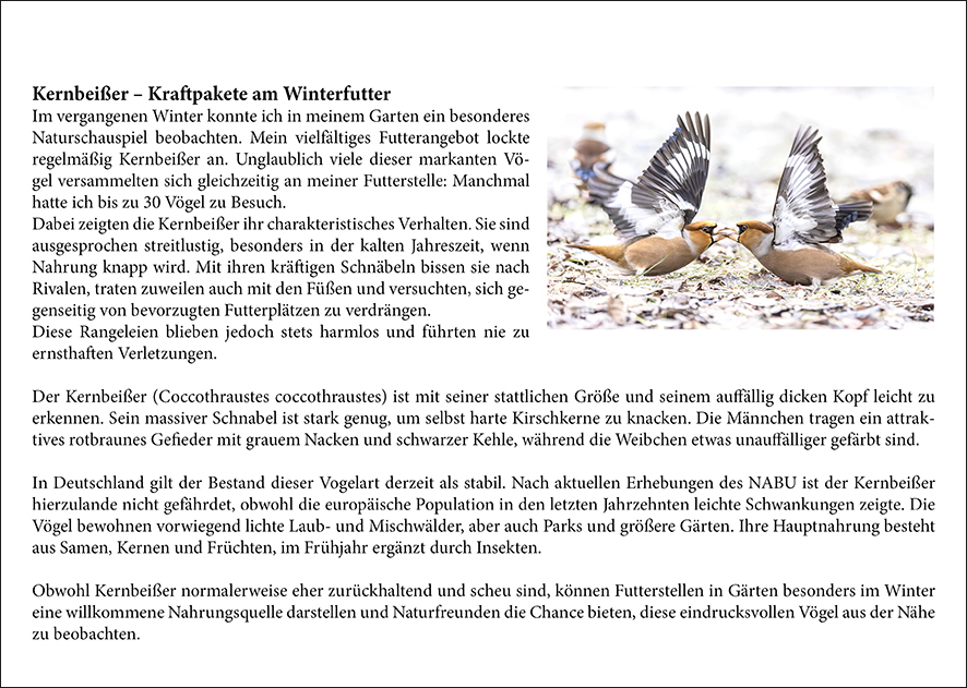 Rückseite Vögel_Januar
