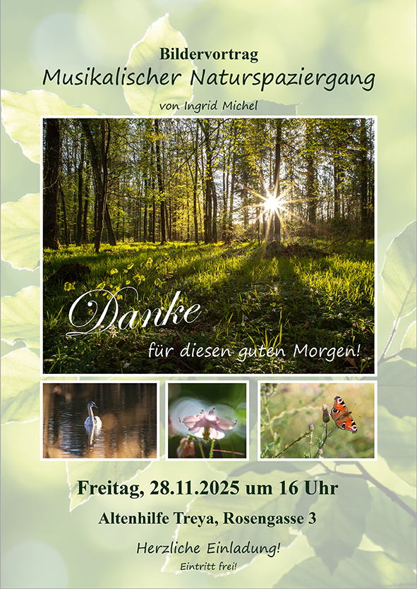 Naturspaziergang in der Altenhilfe