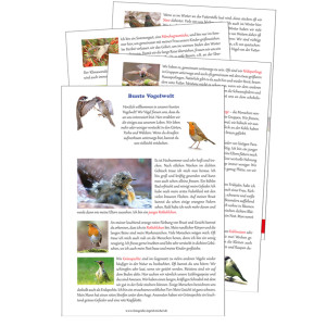 Bunte Vogelwelt (Puzzle mit 500 Teilen)