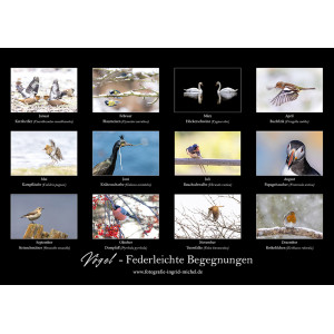 Vögel - Federleichte Begegnungen 2026