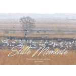 Stille Momente 2026 - Naturbilder von nah und fern