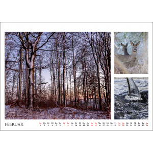 Stille Momente 2026 - Naturbilder von nah und fern