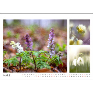 Stille Momente 2026 - Naturbilder von nah und fern