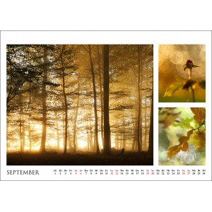 Stille Momente 2026 - Naturbilder von nah und fern